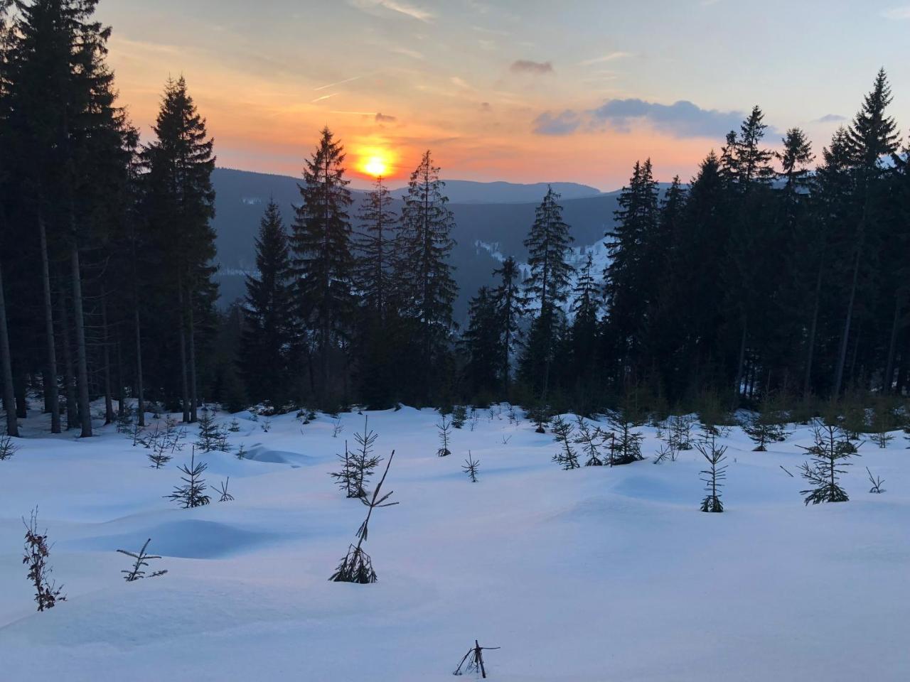 Hotel Hromovka Špindlerŭv Mlýn Esterno foto